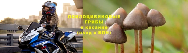 кристаллы Белокуриха