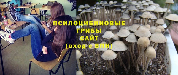 прущая мука Белоозёрский