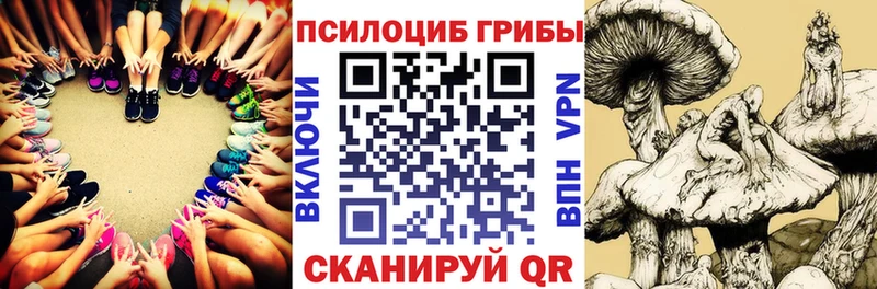 KRAKEN tor  Кропоткин  Псилоцибиновые грибы MAGIC MUSHROOMS 